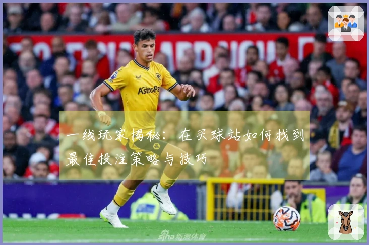 一线玩家揭秘：在买球站如何找到最佳投注策略与技巧